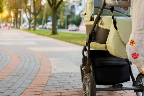 Mãe com um carrinho em um passeio — Fotografia de Stock