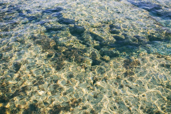 Piedras en agua clara y peces —  Fotos de Stock