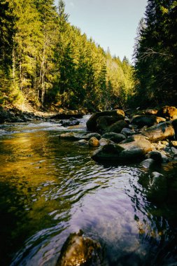 Muhteşem dağ nehir ve orman manzarası