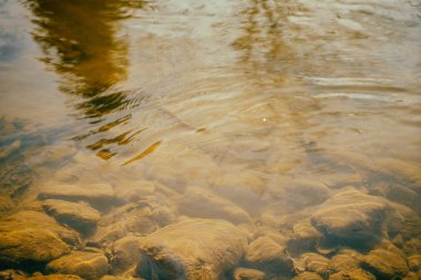 Güzel dağ nehir, muhteşem manzara