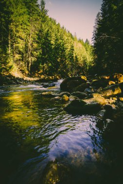 Muhteşem dağ nehir ve orman manzarası