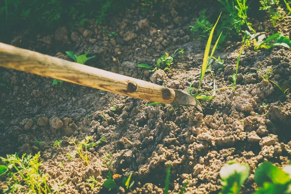 Toma y preparación para el jardín y las verduras — Foto de Stock