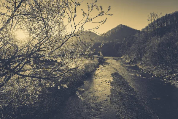 Şık nehir ve dağ manzarası