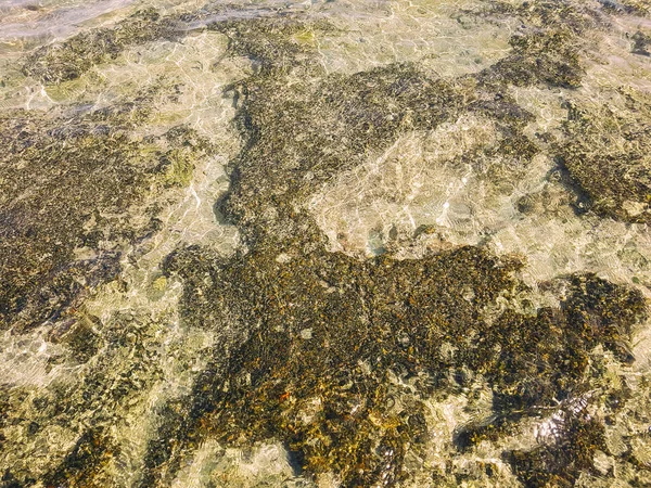 맑은 물 속의 돌들 — 스톡 사진