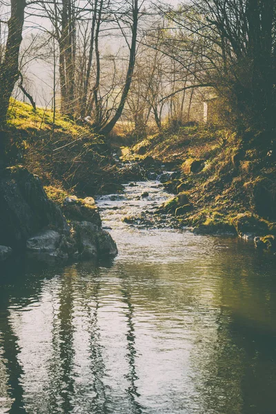 Magnificent landscape, mountain river, wildlife — Stock Photo, Image