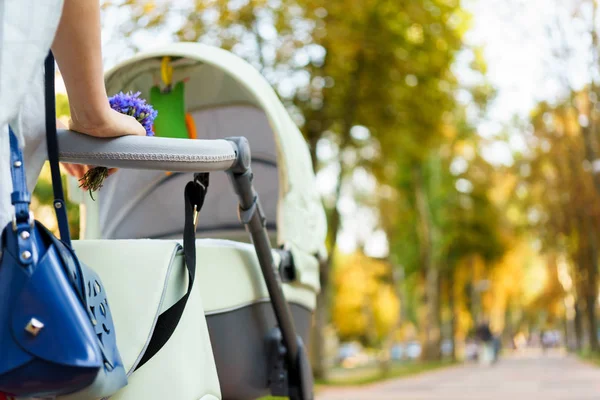 Mother with a stroller on a walk — Stock Photo, Image