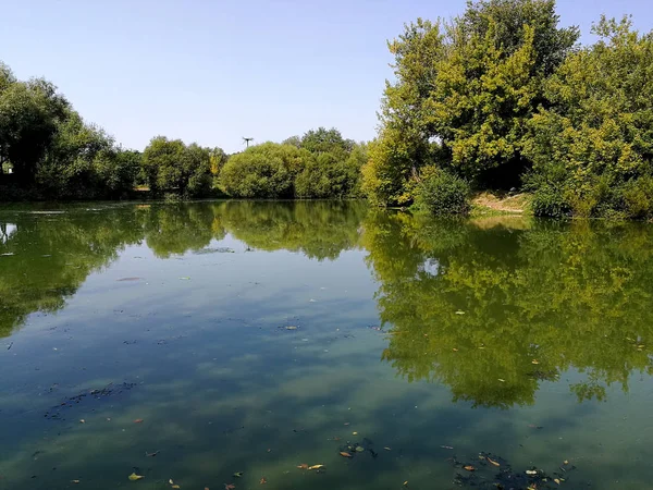 Krásné letní jezero a zelené stromy — Stock fotografie