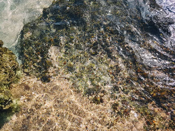 맑은 물 속의 돌들 — 스톡 사진