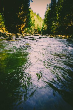 Muhteşem dağ nehir ve orman manzarası