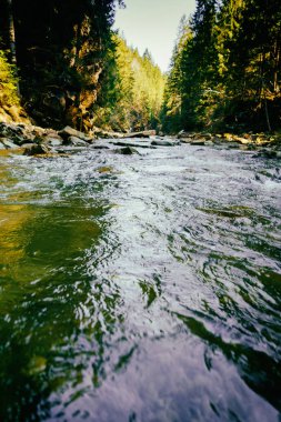 Muhteşem dağ nehir ve orman manzarası