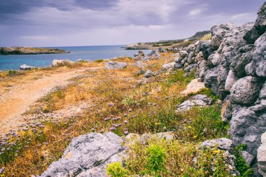 kayalık deniz kıyısı