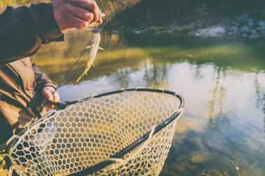 Bir balıkçı tarafından alabalık yakaladı