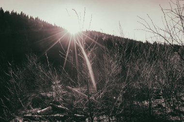 Dağlar, dağ nehir, manzara nefis doğa