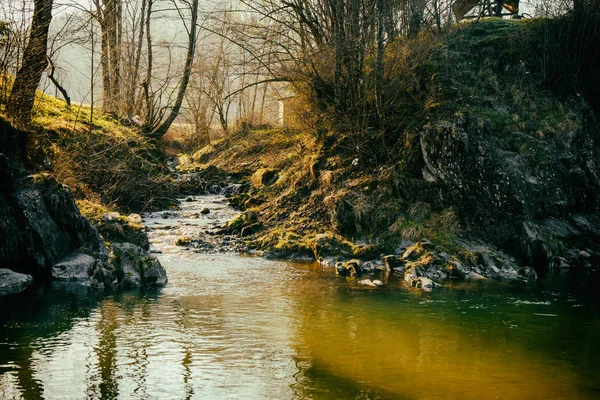 Muhteşem manzara, dağ nehir, yaban hayatı — Stok fotoğraf