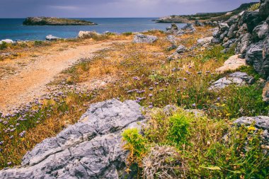 Deniz gezisi teması nda Arka Plan