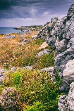 Deniz gezisi teması nda Arka Plan