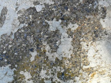 yosun ile eski kırık çimento