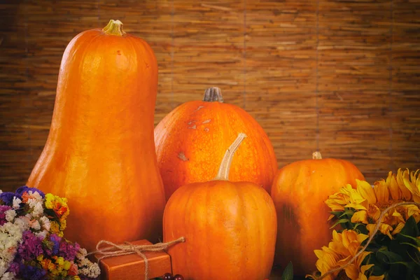 Vendemmia autunnale: zucche, girasoli — Foto Stock