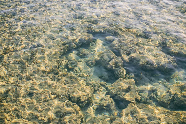 맑은 물과 물고기의 돌 — 스톡 사진