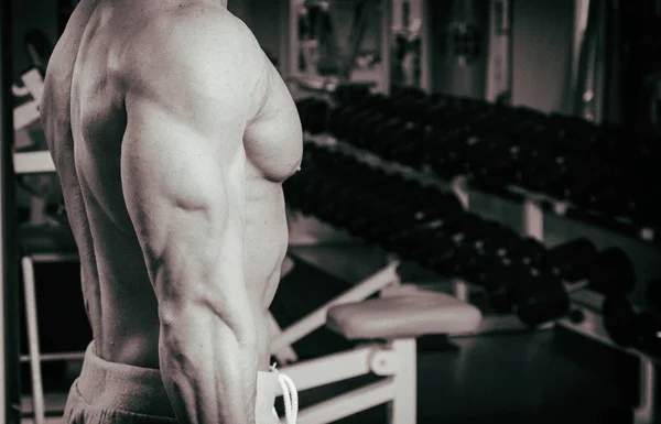 Bíceps grandes con mancuernas —  Fotos de Stock