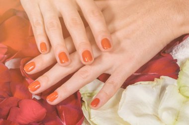 Gül yaprakları üzerinde kırmızı çivi ile Eller