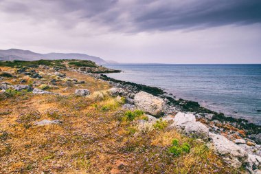 kayalık deniz kıyısı