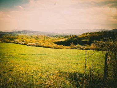Muhteşem doğa, güzel ormanları ve çayırlar