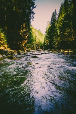 Muhteşem dağ nehir ve orman manzarası