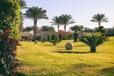 Palmiye ağaçları olan bir tatil köyü.