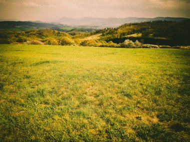 Muhteşem doğa, güzel ormanları ve çayırlar