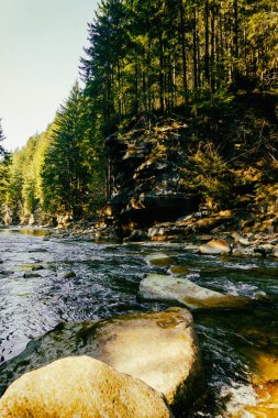 Muhteşem dağ nehir ve orman manzarası