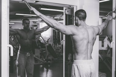 Spor serin vücut geliştirmeci