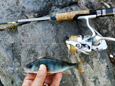 balıkçı yem için küçük bir balık yakaladı