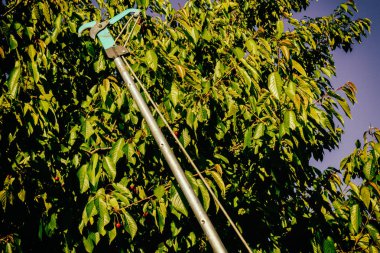 Bahçe Kur ve Sebze Bahçesi