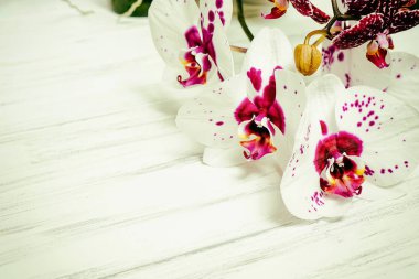 Ahşap beyaz zemin üzerine güzel çiçekler