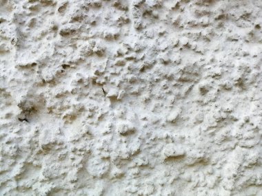 taşlı beyaz badanalı duvar