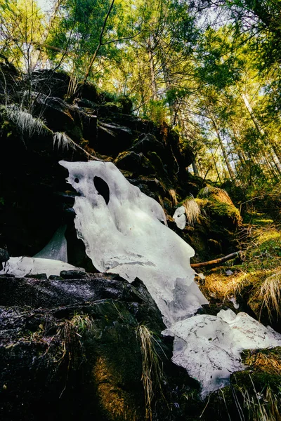 Magnifico fiume di montagna e paesaggio forestale — Foto Stock