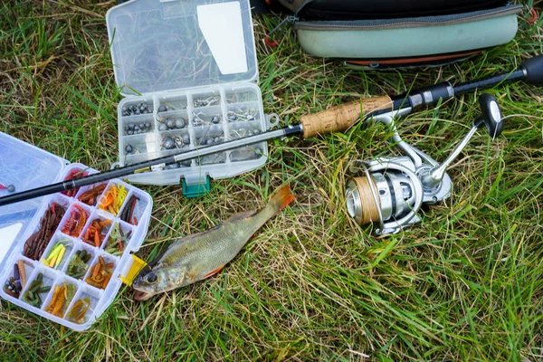 Concepto de pesca: aparejos, caña de pescar, peces en la hierba — Foto de Stock