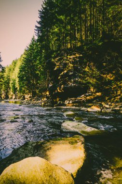 Muhteşem dağ nehir ve orman manzarası