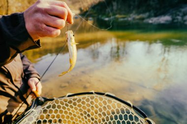 Bir balıkçı tarafından alabalık yakaladı