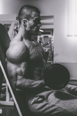 Spor serin vücut geliştirmeci