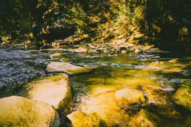 Muhteşem dağ nehir ve orman manzarası