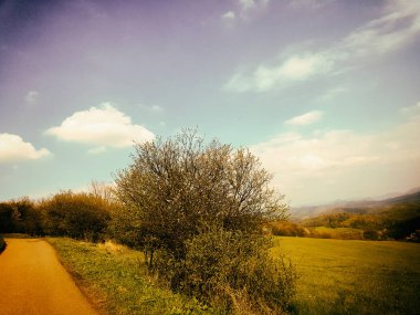 Muhteşem doğa, güzel ormanları ve çayırlar