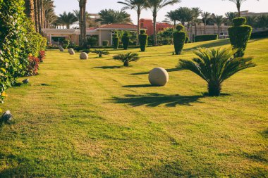 Palmiye ağaçları olan bir tatil köyü.