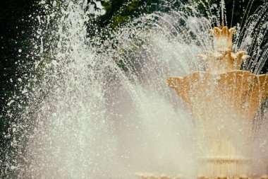 Parktaki güzel çeşme