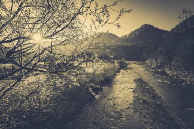 Şık nehir ve dağ manzarası