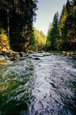 Muhteşem dağ nehir ve orman manzarası