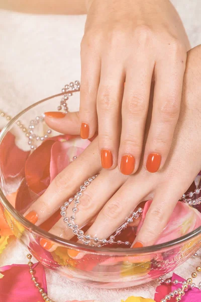 Natte handen in een kom met rode nagels op rozenblaadjes — Stockfoto