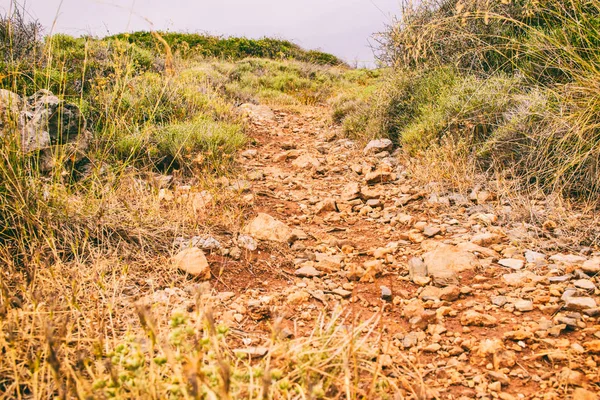 Seascape. Girit'e deniz gezisi