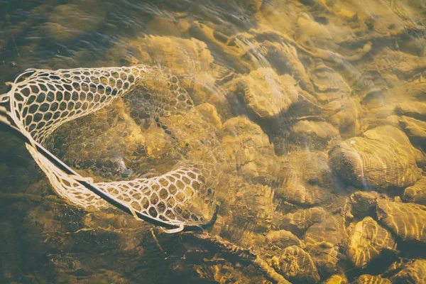 Bellissimo fiume di montagna, paesaggio favoloso — Foto Stock